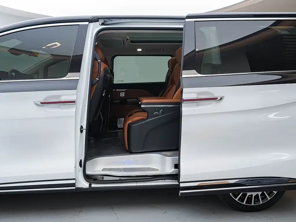 Hongqi Hongqi HQ9 — миниатюра 19