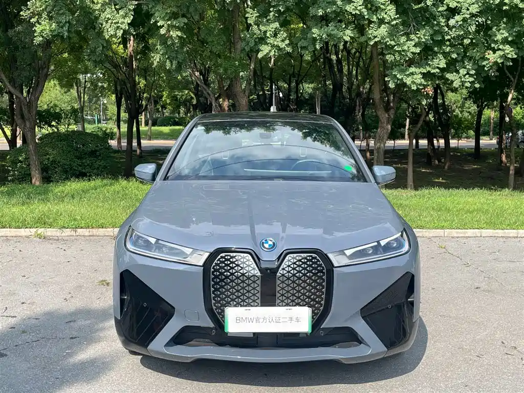 BMW iX — миниатюра 2