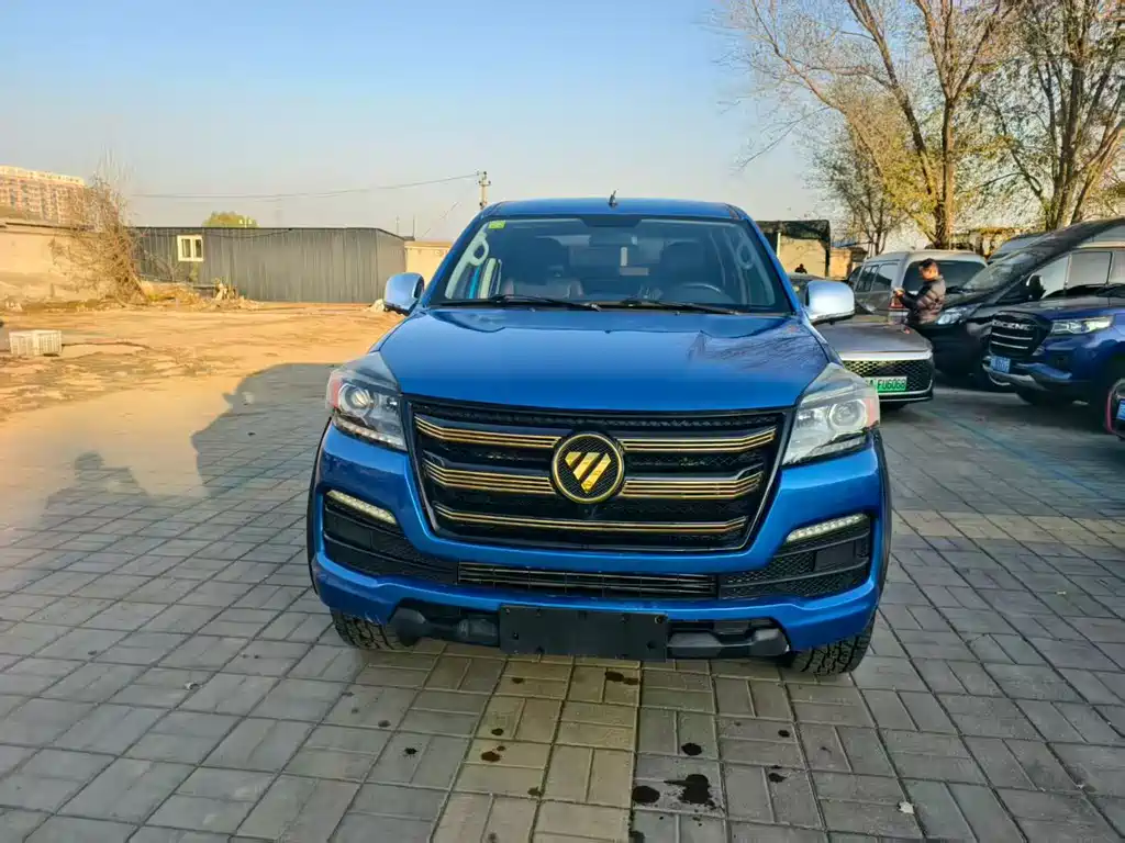 FOTON LAND EXPLORER