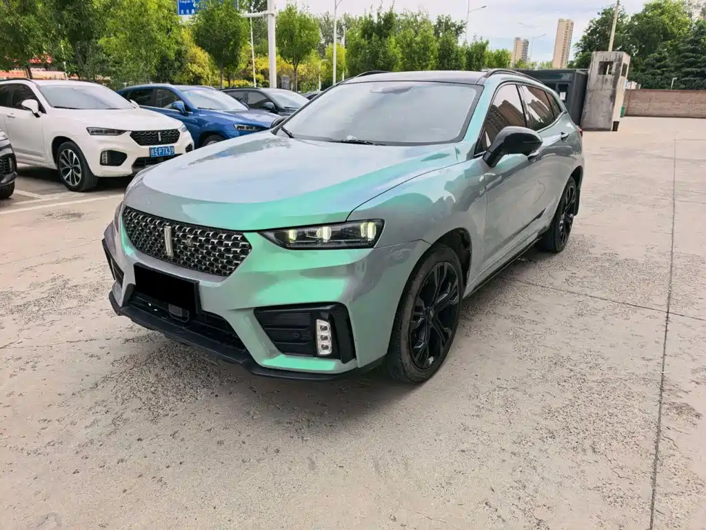 Wey Wey VV7