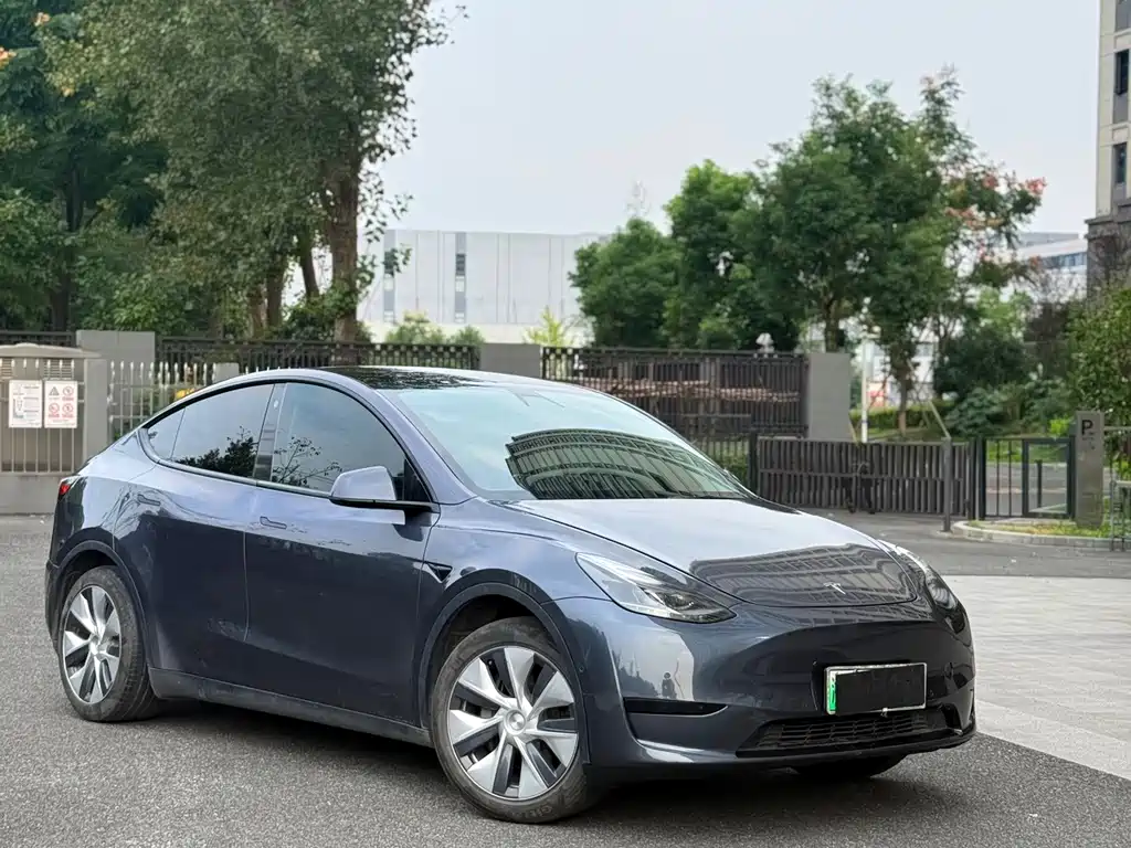 Tesla Model Y — миниатюра 2
