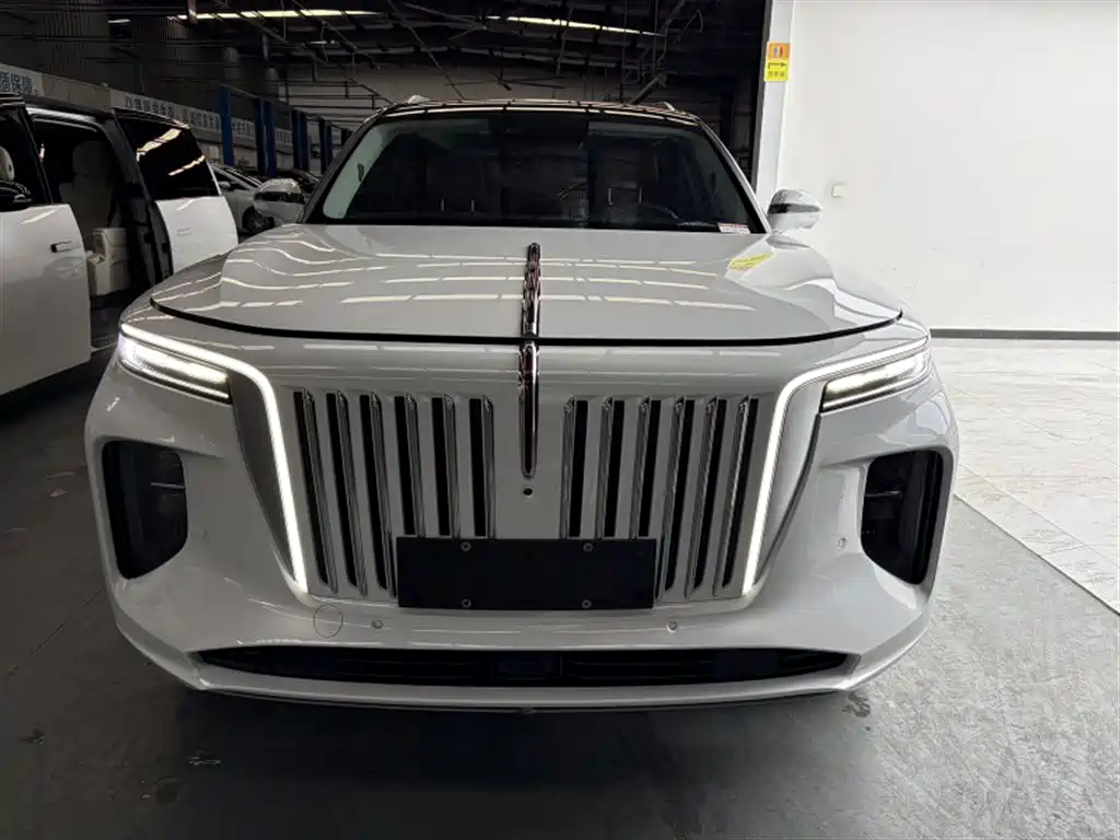 Hongqi Hongqi E-HS9 — миниатюра 2