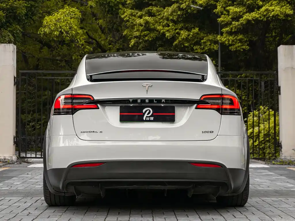 Tesla Model X 2017 Model X 100D