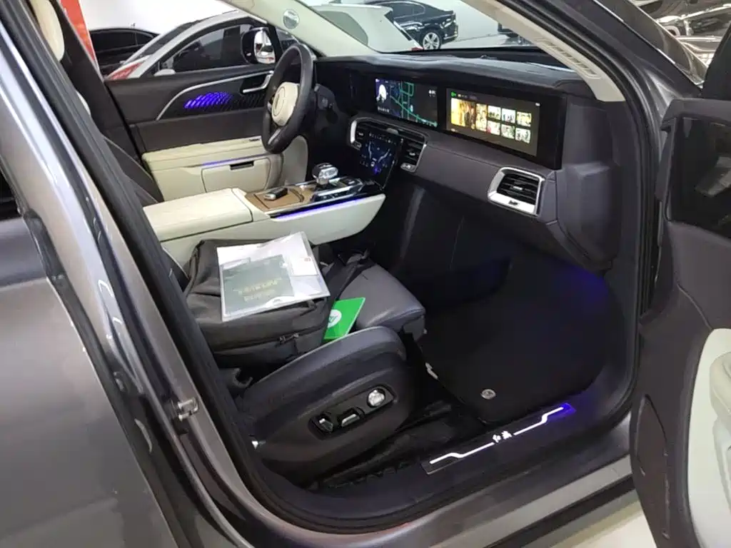 Hongqi Hongqi E-HS9 — миниатюра 25