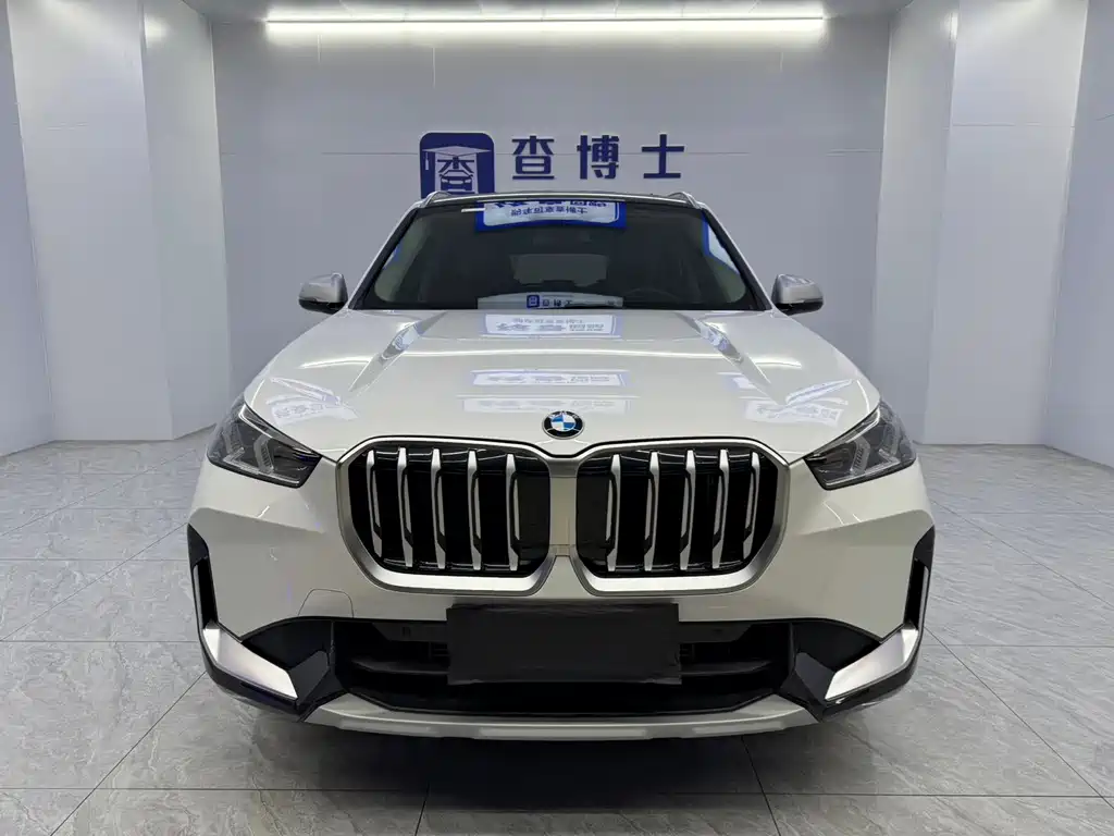 BMW X1 — миниатюра 2