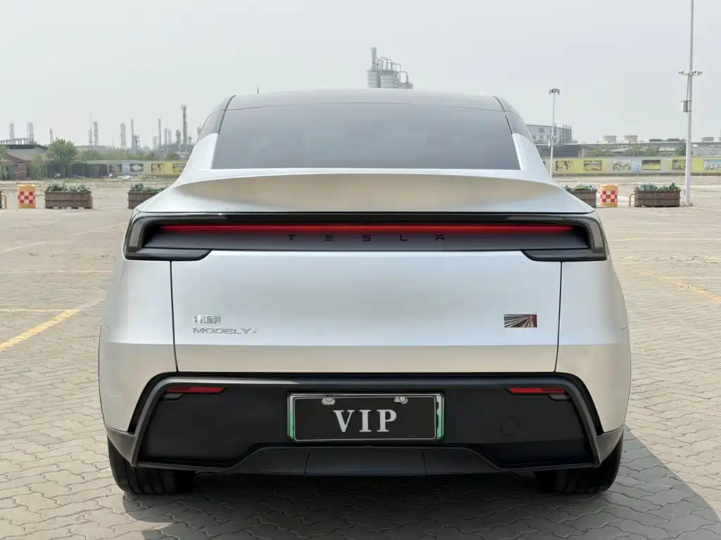 Tesla Model Y — миниатюра 8