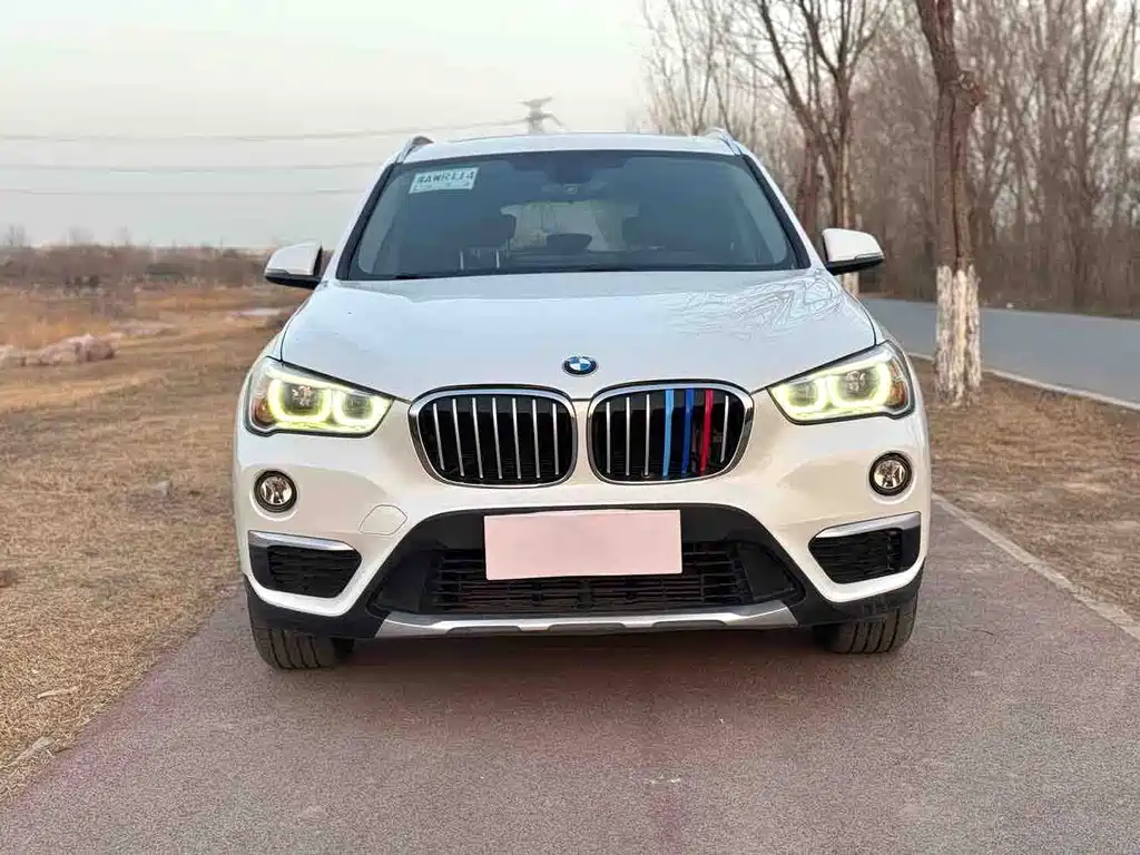 BMW X1 — миниатюра 2