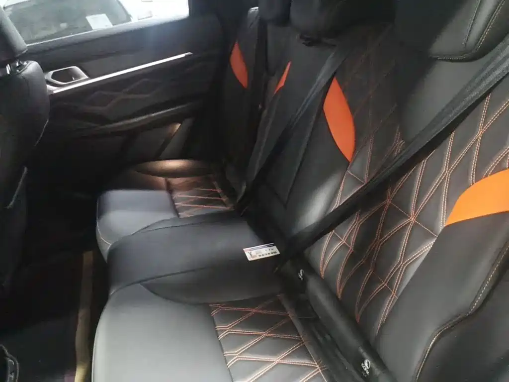 Haval Shenshou — миниатюра 19