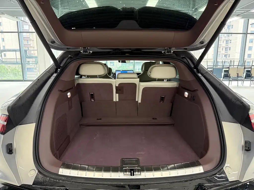 Denza Denza Z9GT — миниатюра 9