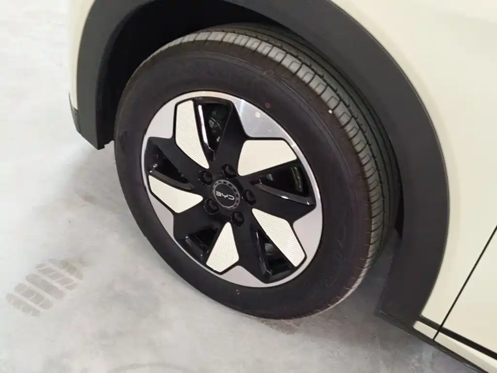 BYD Dolphin — миниатюра 23