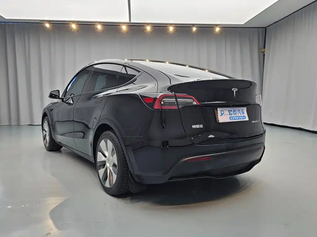 Tesla Model Y — миниатюра 7