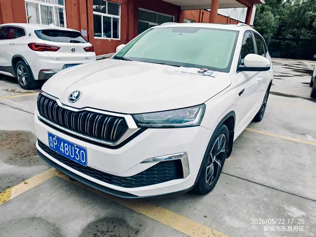 Купить Skoda Kamiq