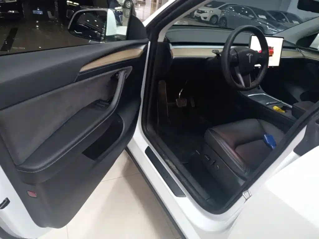 Tesla Model Y — миниатюра 16