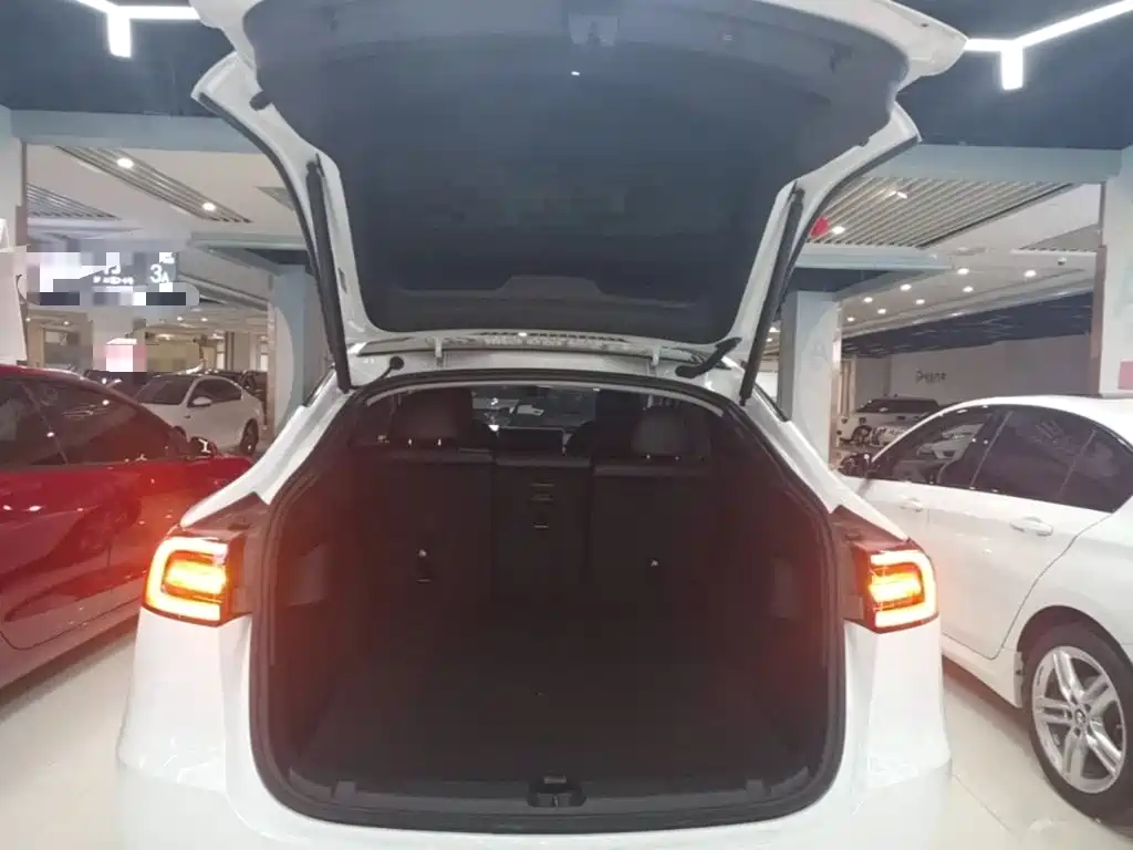 Tesla Model Y — миниатюра 19
