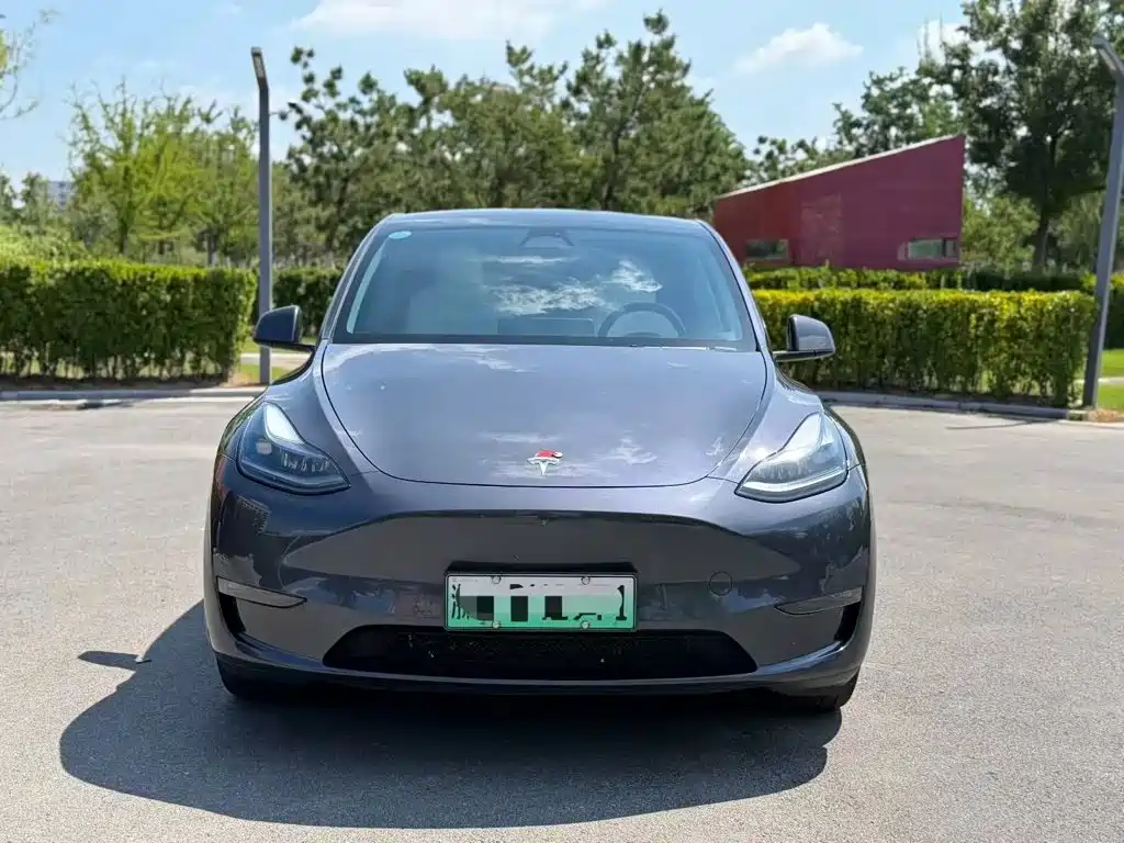 Tesla Model Y — миниатюра 2