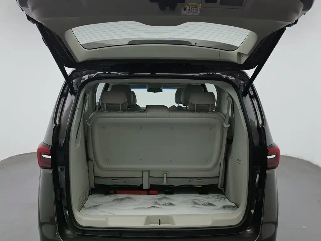Buick GL8 — миниатюра 16