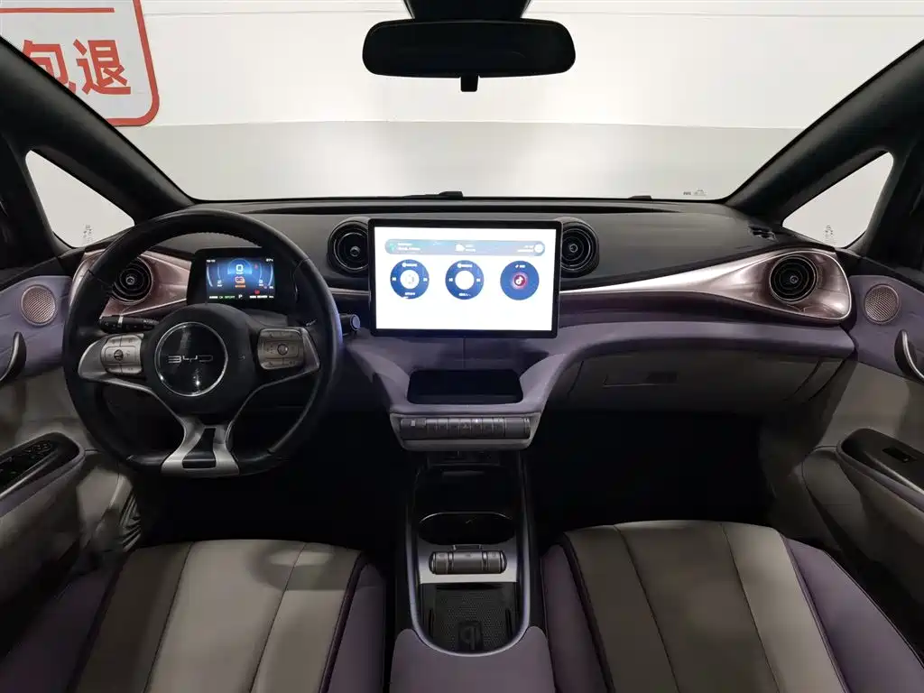 BYD Dolphin 2021 405km Fashion