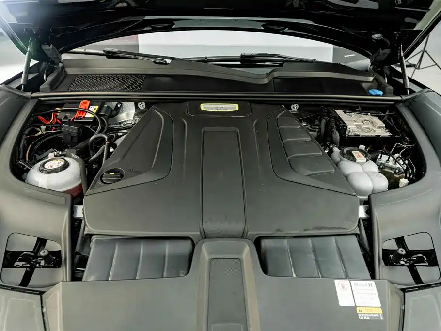 Porsche Cayenne Hybrid — миниатюра 25