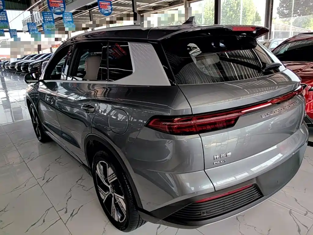BYD Pro New Energy — миниатюра 5