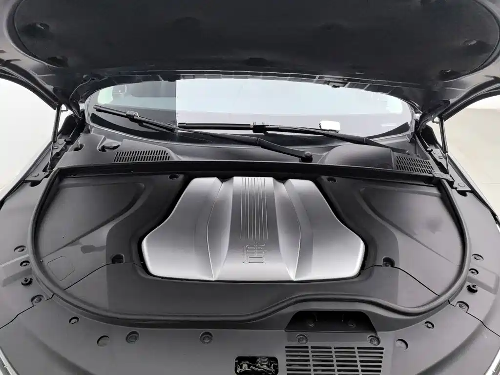 BYD Tang New Energy — миниатюра 6