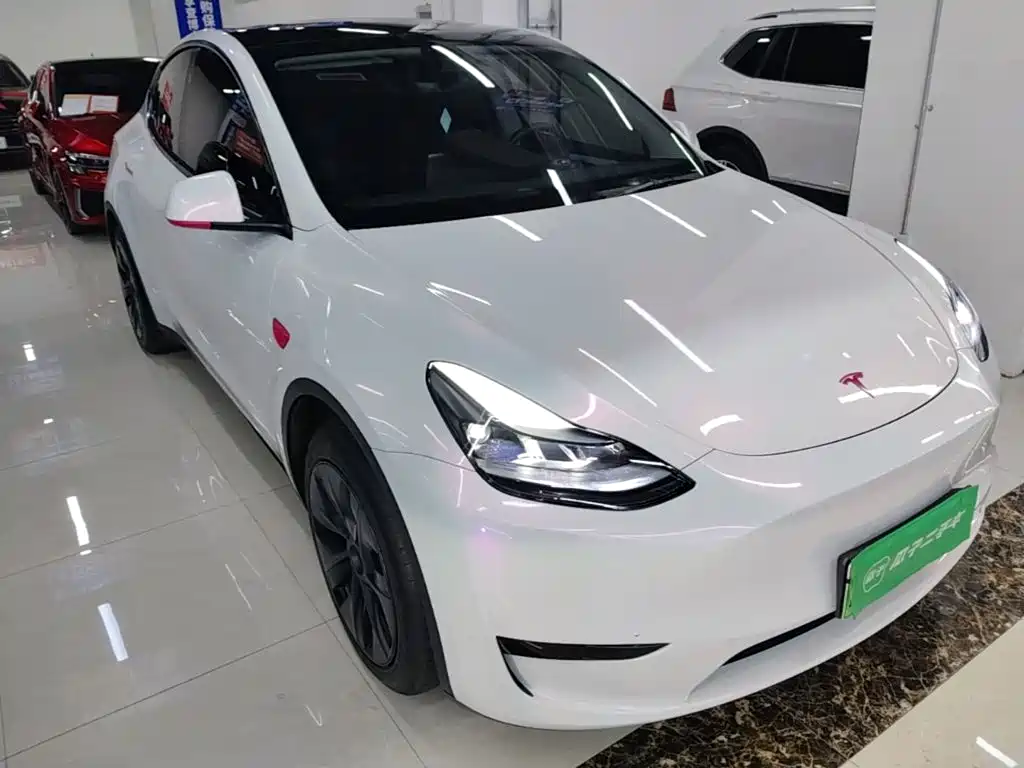Tesla Model Y — миниатюра 4