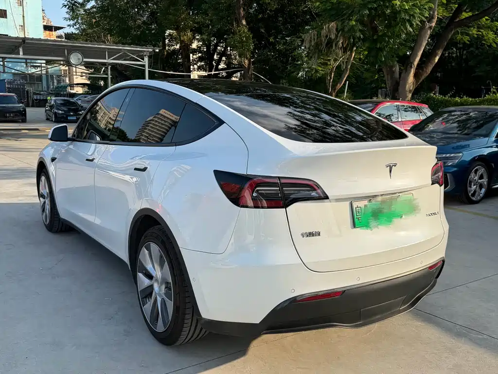 Tesla Model Y — миниатюра 4