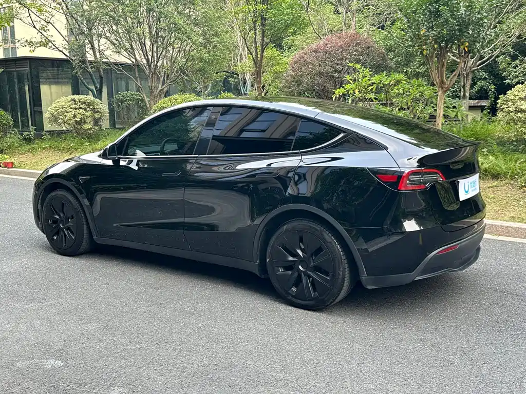 Tesla Model Y — миниатюра 6