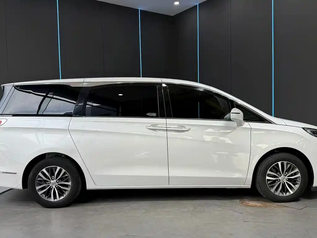 Buick GL8 — миниатюра 4