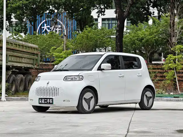 2022 Ora R2/White Cat