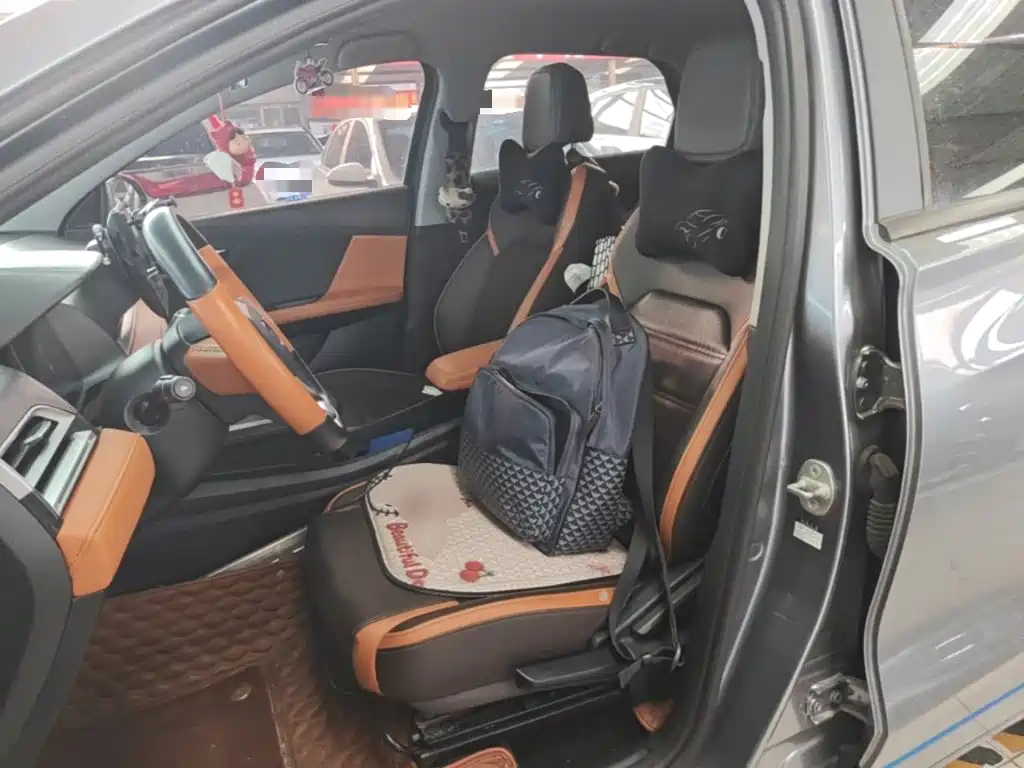 BYD e2 — миниатюра 15