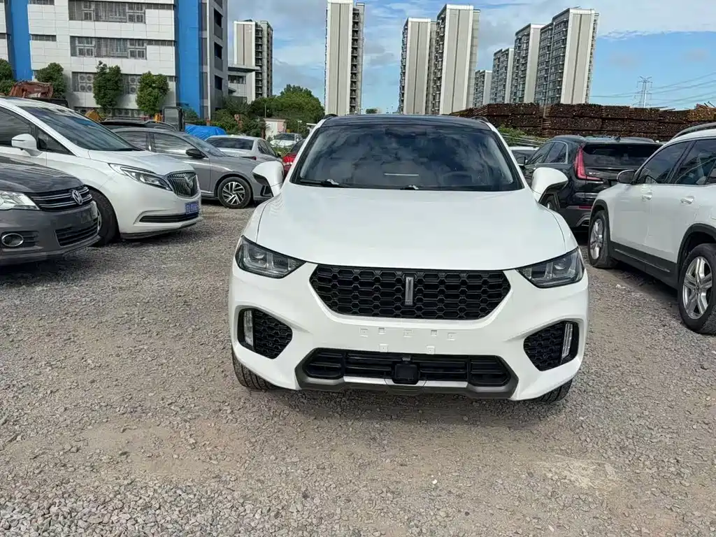 Wey Wey VV5