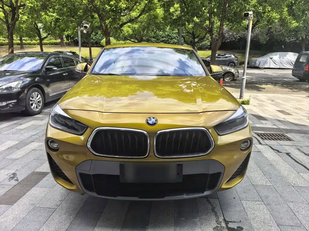 BMW X2 (Import) — миниатюра 7