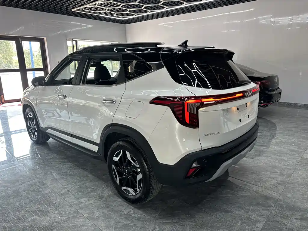 Kia Seltos — миниатюра 4