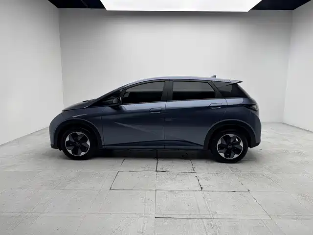 BYD Dolphin — миниатюра 3