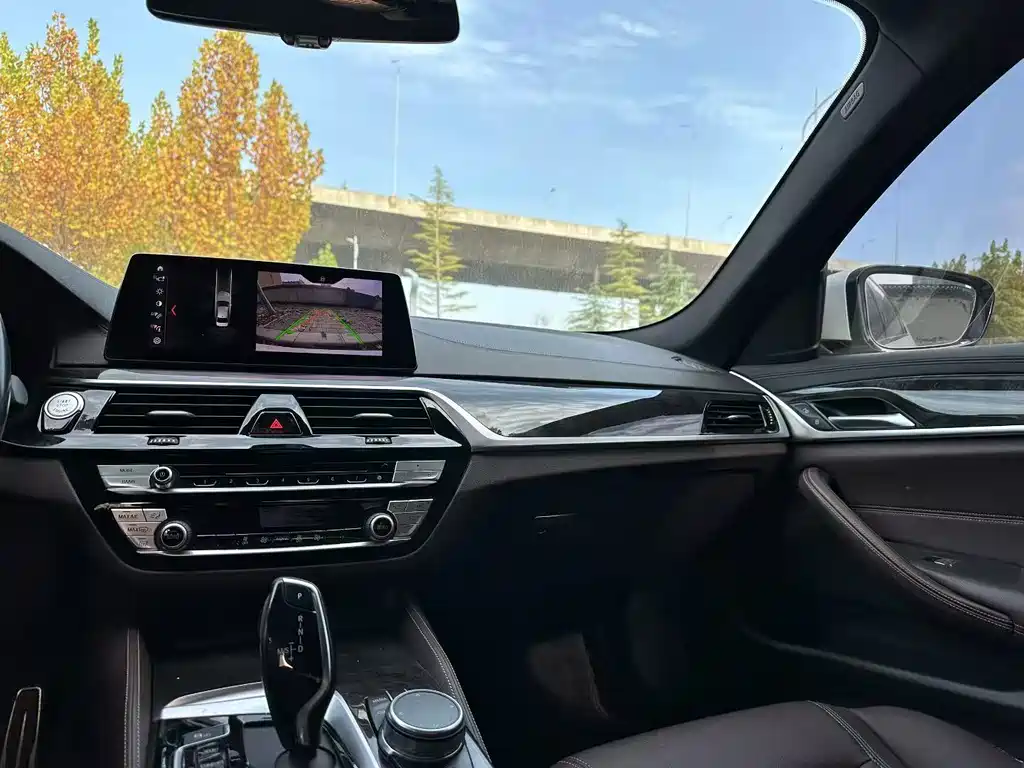 BMW 5 Series 5 2019 525Li M Sport
