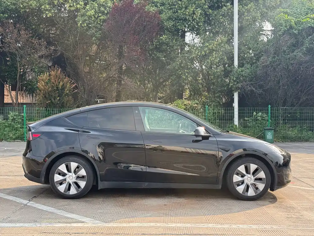 Tesla Model Y — миниатюра 8