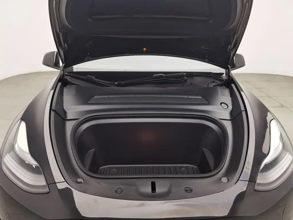 Tesla Model Y — миниатюра 6
