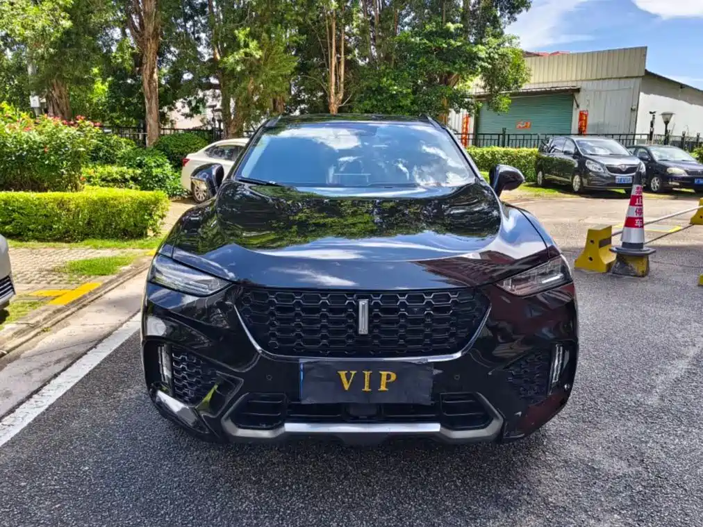 WEI PAI WEI BRAND VV7