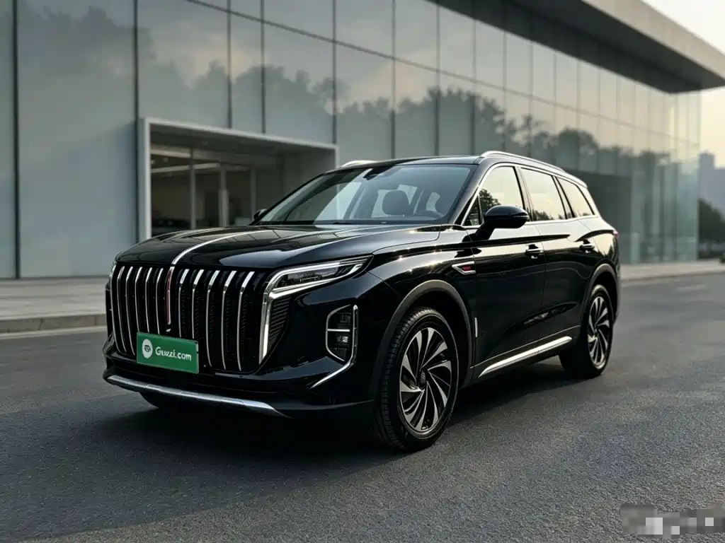 Hongqi Hongqi HS7 PHEV — миниатюра 2