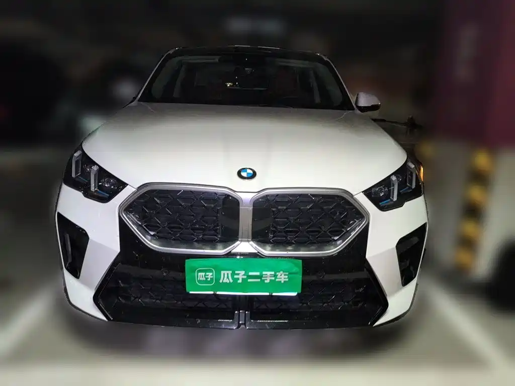 BMW X2 (Import) — миниатюра 2