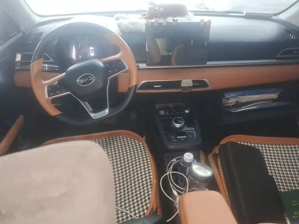 BYD e2 — миниатюра 5