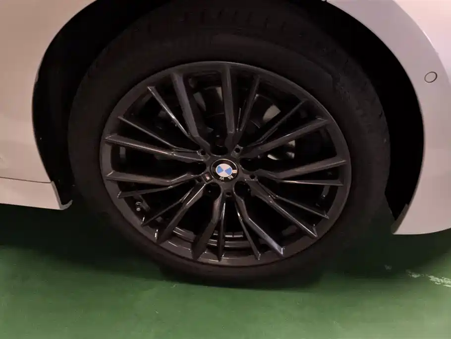 BMW 3 Series 3 2022 325Li M Sport