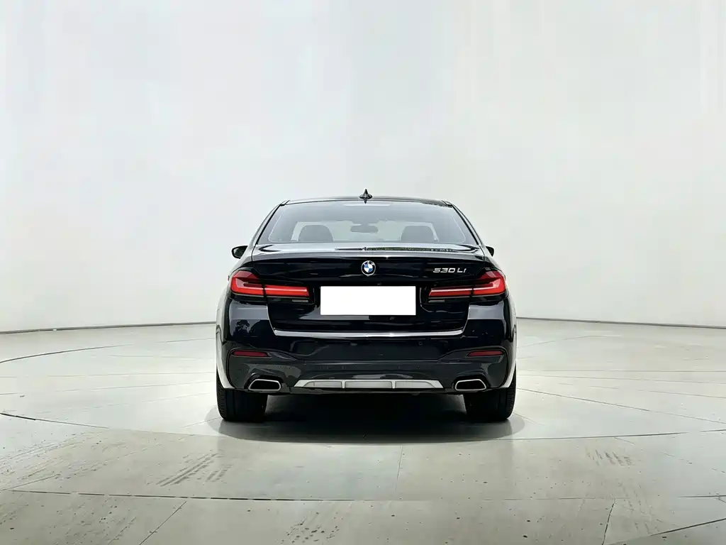 BMW 5 Series — миниатюра 13