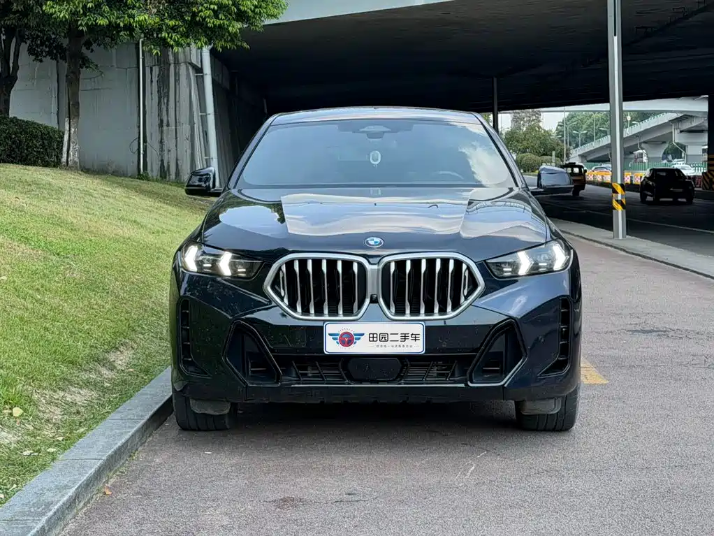 BMW X6 — миниатюра 2