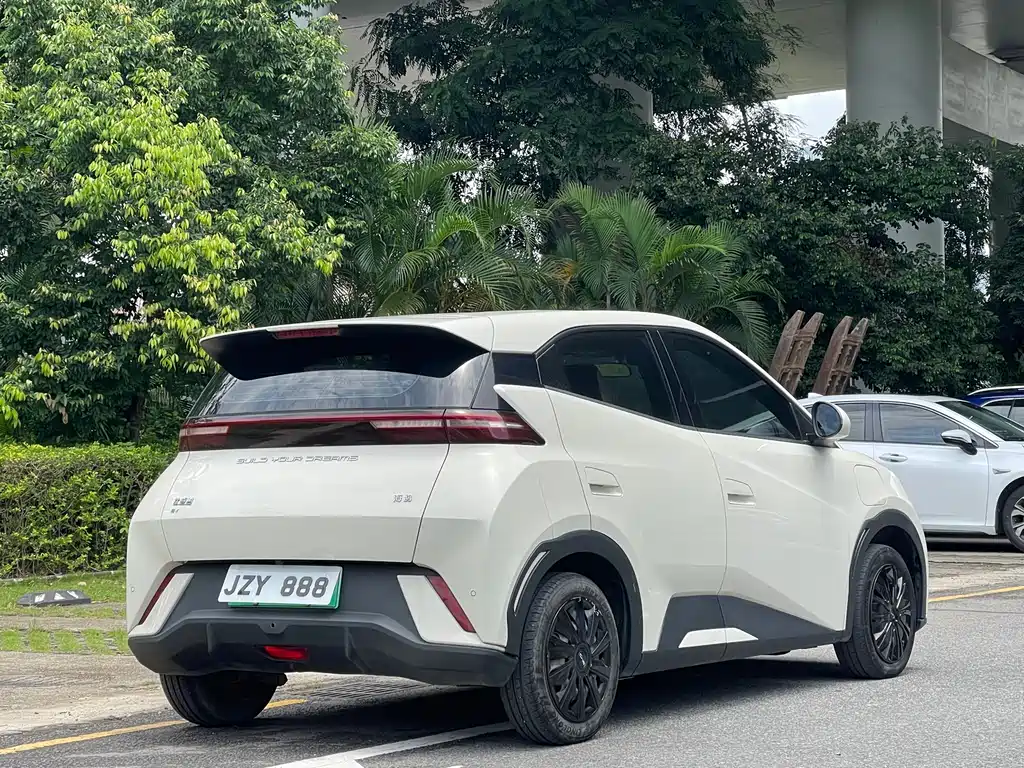 BYD Seagull