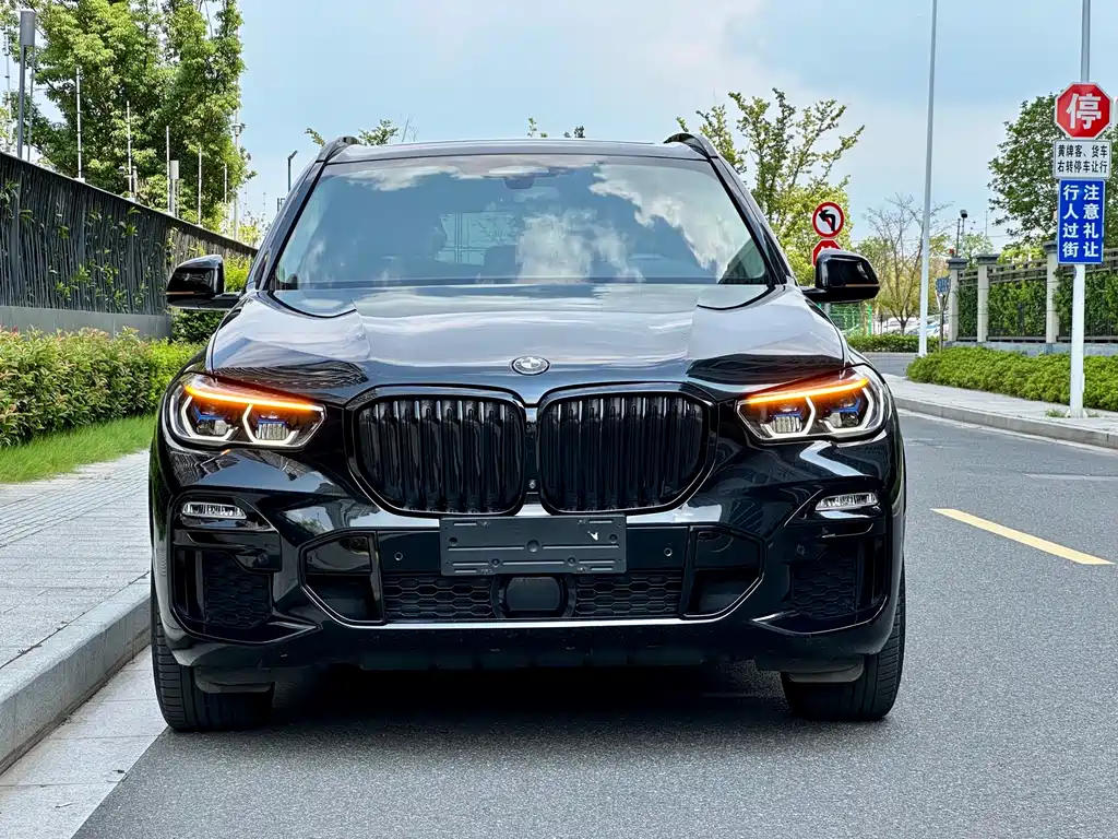 BMW X5 (Import) — миниатюра 3