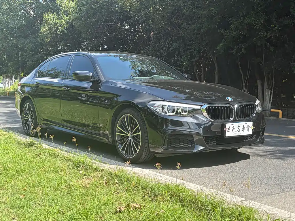 BMW 5 Series — миниатюра 3