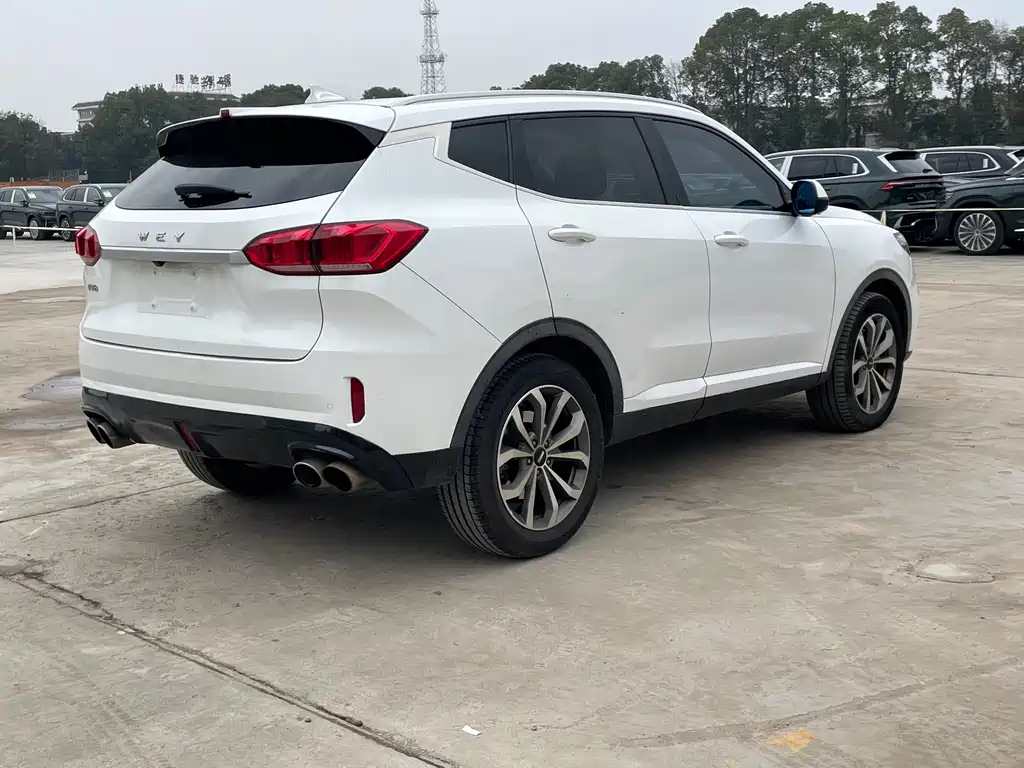 WEI PAI WEI BRAND VV6