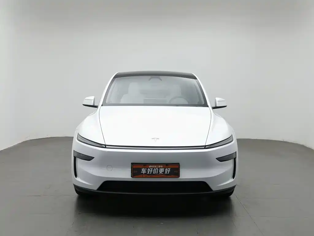 Tesla Model Y — миниатюра 3