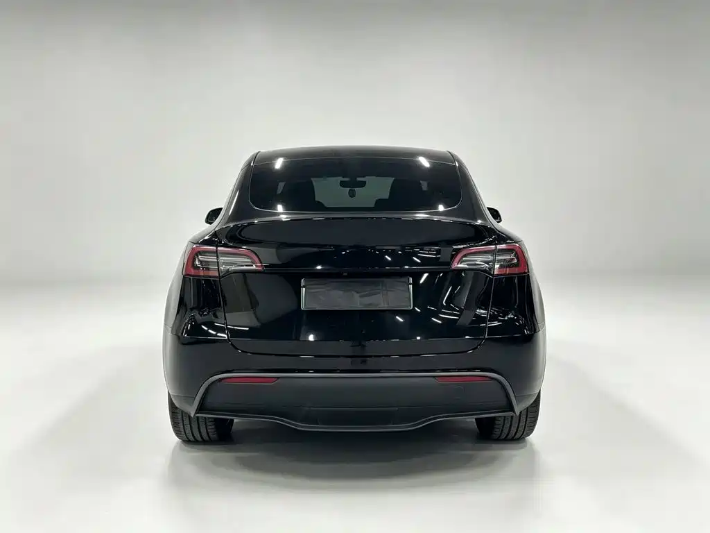 Tesla Model Y — миниатюра 5